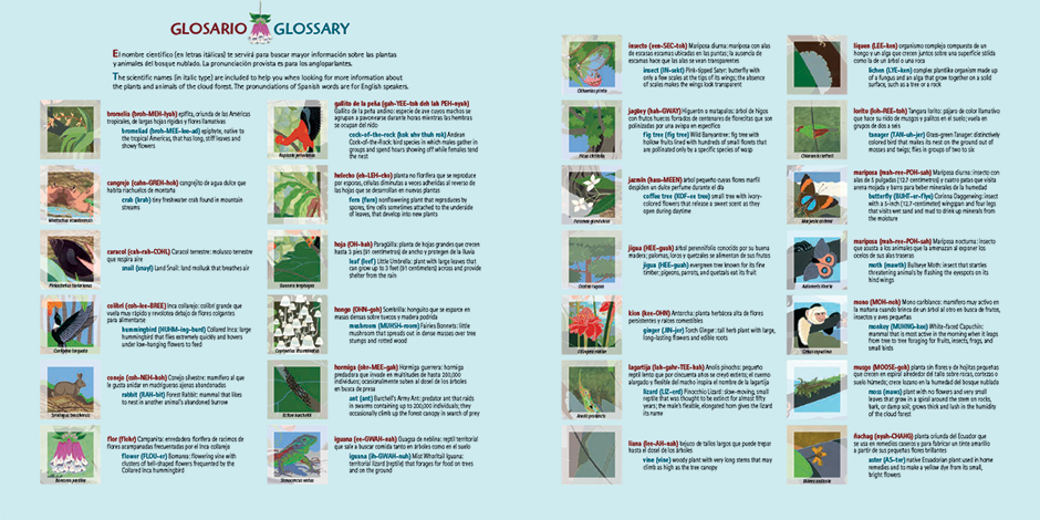 bilingual book glossary design